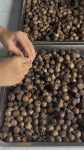 | กระเทียมดำแบบ ไม่แกะเปลือกแพคสามห่อ | กระเทียมดำแบบ ไม่แกะเปลือก แพคสามห่อ |