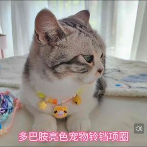 [READY STOCK] Pet Collar Cat Dog Collar with Bell Adjustable Pet Necklace | Rantai kolar Kuching | 宠物项圈 猫狗项圈铃铛