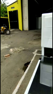 Divan Sandaran No 1 180x200 Minimalis / Dipan Tempat Tidur / Ranjang Kasur Murah Cirebon Tegal Brebes Pemalang Pekalongan Bandung Indramayu Jakarta Bogor Depok Tangerang Bekasi