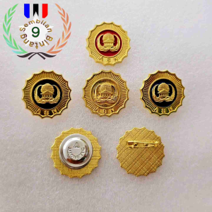 Pin Korpri Asn Golongan Premium: Aksesori dan Tips