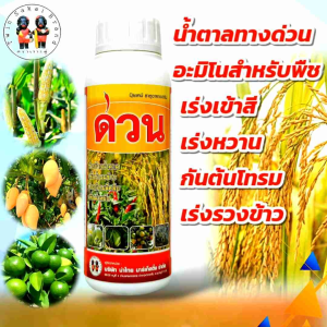 [2 แถม 1] ตราเงาะคู่ ด่วน น้ำตาลทางด่วน อะมิโน เร่งสี เร่งกลิ่น ลดหลุดร่วง กันต้นโทรม