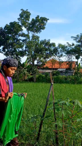 Paket 100Ribu 8 Pcs Kaos Tani Lengan Panjang Pria Dewasa