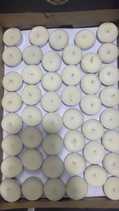 20 vien Nến thơm cao cấp tealight