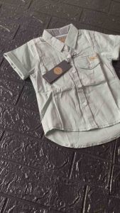 Kemeja Anak Laki-Laki Stylish Warna Hijau Pastel Terbaru bisa cod Fashion