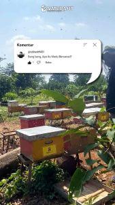 Madu Pahit Naturafit: Solusi Penurun Kadar Gula Darah