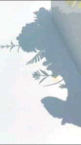 Skinsane Body Scrub SR12: Perawatan Kulit Wajah dan Tubuh