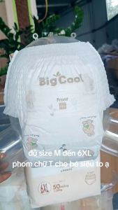 Đủ size M đến 6XL Bỉm Tả quần BIGCOOL 100 Miếng Phom chữ T Dành Cho Bé Mông Và Đùi To