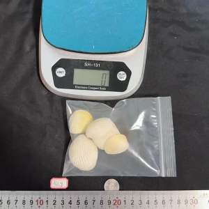 เปลือกหอยสีขาวธรรมชาติ 50g SHI ZHUA สำหรับตกแต่งบ้านและตู้ปลา