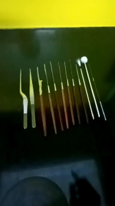 1 Bộ ráy tai độ mài chuốt 11 món. Nhíp cong 16cm ngành ráy tai