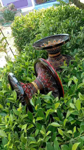 ขาบาตรพระ ขา9นิ้ว ถากลาย