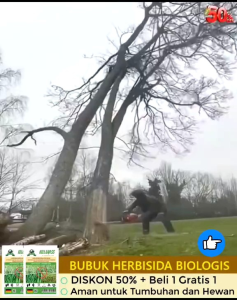 beli 1 gratis 1 Bubuk kill grass herbisida biologis pembasmi gulma dan pohon besar original