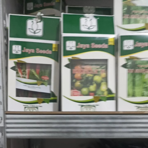 Benih Bibit Cabe Rawit Hijau Merah Si Gantung ZAMRUD 10 GRAM JAYA SEEDS