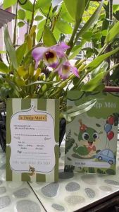 Combo 20 thiệp mời đầy tháng thôi nôi bé tuổi rắn