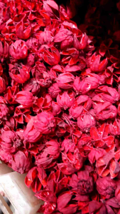 Kelopak Rosella merah - kelopak Rosella kuning - kelopak Rosella hijau - kelopak kering Rosella - Rosella kerajinan - 100 gr kelopak Rosella