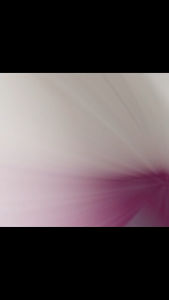 Ard Al Zaafaran  MOUSUF/  HAREEM AL SULTAN /AJMAL EHSAS BLOOM/ AMEER AL QULOOB Air Freshener 300 Ml Home