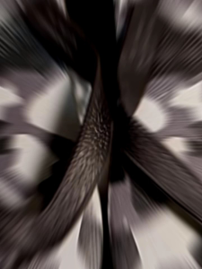 GROSIR 1/2 LUSIN DAN ECERAN SATUAN Sandal Jepit Sun Swallow Army Commando ukuran Khusus 10 s/d 11