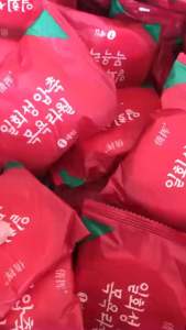 viên khăn tắm nén du lịch bằng cotton dùng một lần