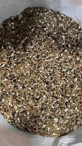 Super Premium Sneaky/ Mix Feeds/Corn For Pigeon 500grams/1kg/2kg/2.5kg