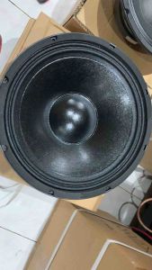 Tsunami Live Storm 12: High Performance Speaker System