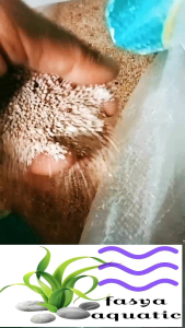 Pasir Aquarium Aquascape: Pasir Bali Kemasan 1 Karung Isi 10kg