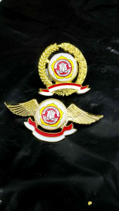 Lencana Karang Taruna: Desain Unik & Aksesori