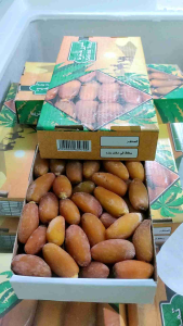Kurma Muda Ruthob Libya 1 kg