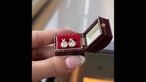 Reraya ต่างหูเงินแท้ ฝังเพชร Moissanite (โมอีส) พร้อมใบเซอร์GRA-B6467