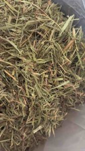 New หญ้าทิโมธีใบล้วน ทิมคัท 3 iHay ร่อนฝุ่นสำหรับกระต่าย แกสบี้ ชินชิล่า