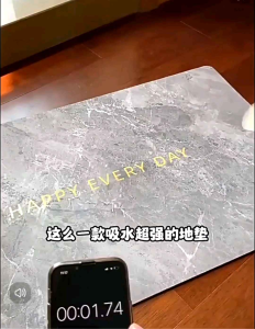 Anti-Slip Carpet Bathroom Fast Absorbent Quick Dry Mordern Luxury Style Mat