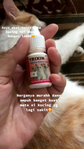 TRIXIN DROP - Obat Tetes Mata Hidung Kucing Cat Kitten Anti Infeksi Iritasi Mata