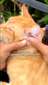 OBAT PENYAKIT KULIT JAMUR RINGWORM SCABIES KUCING ANJING HEWAN ANABUL EASY HEALTHY SKIN for PET