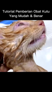 FM FleaMinator Flea Minator 20 ML Obat Kutu Kucing Dan Anjing