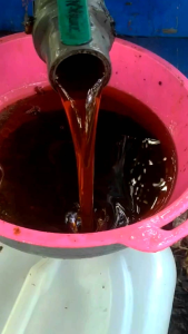 MADU ALFITRA 1 KG MADU ASLI MURNI TANPA CAMPURAN 💯 RAW HONEY