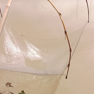 anco senar 015 lubang 1/2 in ukuran 25x3 m