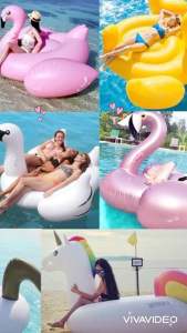 [Tặng Bơm Điện+Kính Bơi]Phao Thú Khổng LồPhao Hồng HạcNgựa ThầnVịt Vàng Bigsize-Quyensports