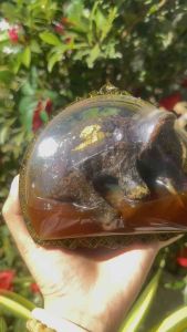 ลูกกรอกช้าง งานพุ่ง งานรุ่ง ขายง่าย ขายคล่อง ในทุกๆ ให้ประสิทธิภาพ 💯