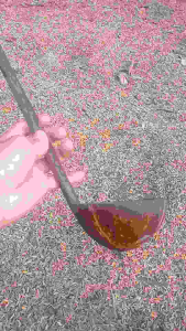 Irus bakso batok kelapa