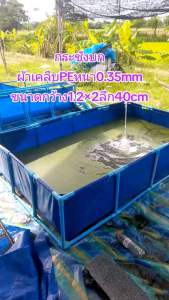 บ่อผ้าใบ PE 200 Super หนา 0.35 มิลลิเมตร ขนาด 2 * 3 ลึก 50 ซม