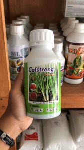 Calstreng 500ml Pupuk Cair Calsium Pembesar pangkal Bawang merah
