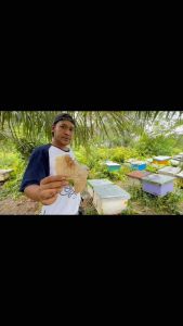 Madu Murni Asli 100% Multiflora 1Kg Madu Grosir | Mentah Raw Pure Honey 1 Kilo | Rumah Madu Pacet