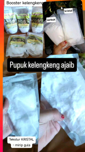 Pupuk Boster Kelengkeng serbuk murni 100% kemasan 250gr