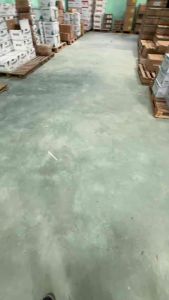 Nấm 3 màu (1kg) săn tuyến trùngrệp sáp gốcký sinh sâu rầy