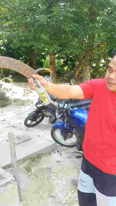 CAMEL KING 111 BONUS SARUNG EGREK KHUSUS