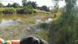 เขียดแรมโบ้ด้วย BKK คมแข็ง 2ใบหลิว ยางนุ่มมาก 3.3 เซน หนัก 7กรัม กบยางถูกๆ ตัวเบ็ด