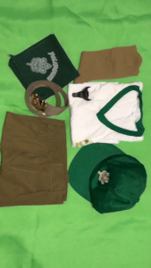 8-in-1 Boy Scout Uniform Set (Green) | Complete BSP Scout Attire