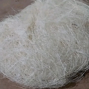 Sarang Burung Serat Nanas: Tempat Bertelur Burung Lembut & Aman