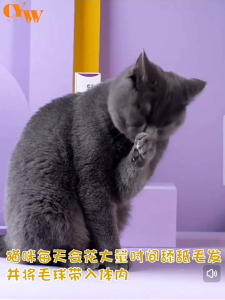 Pet Nutritional Cream Cat Hairball Lysine Vitamin Lecithin 宠物猫狗营养膏 猫咪 化毛膏 赖氨酸
