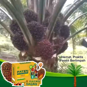 Pupuk Organik Paten Gold 1box