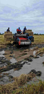 ฟางข้าวอัดก้อนแบ่ง1โลยกก้อน