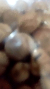 super Murah Bumbu masak /bumbu rempah 1 pcs 1000